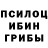 Галлюциногенные грибы мицелий Elena Shimlovskaya