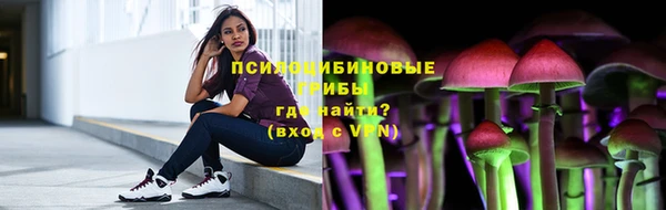 гидра Алексеевка