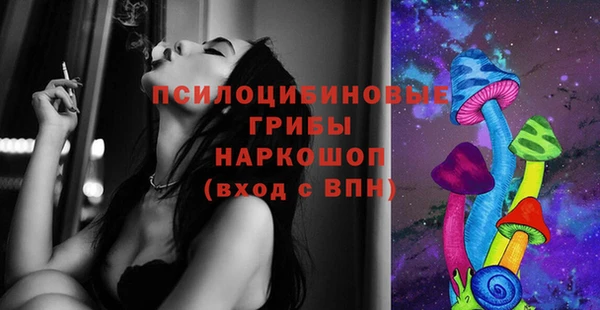 гидра Алексеевка